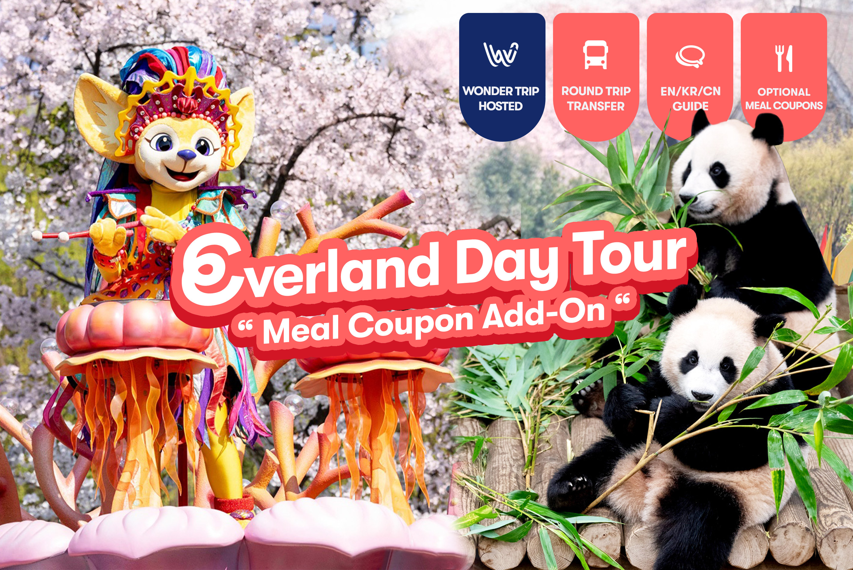 Everland Transfer + Admission ticket with Meal Coupon