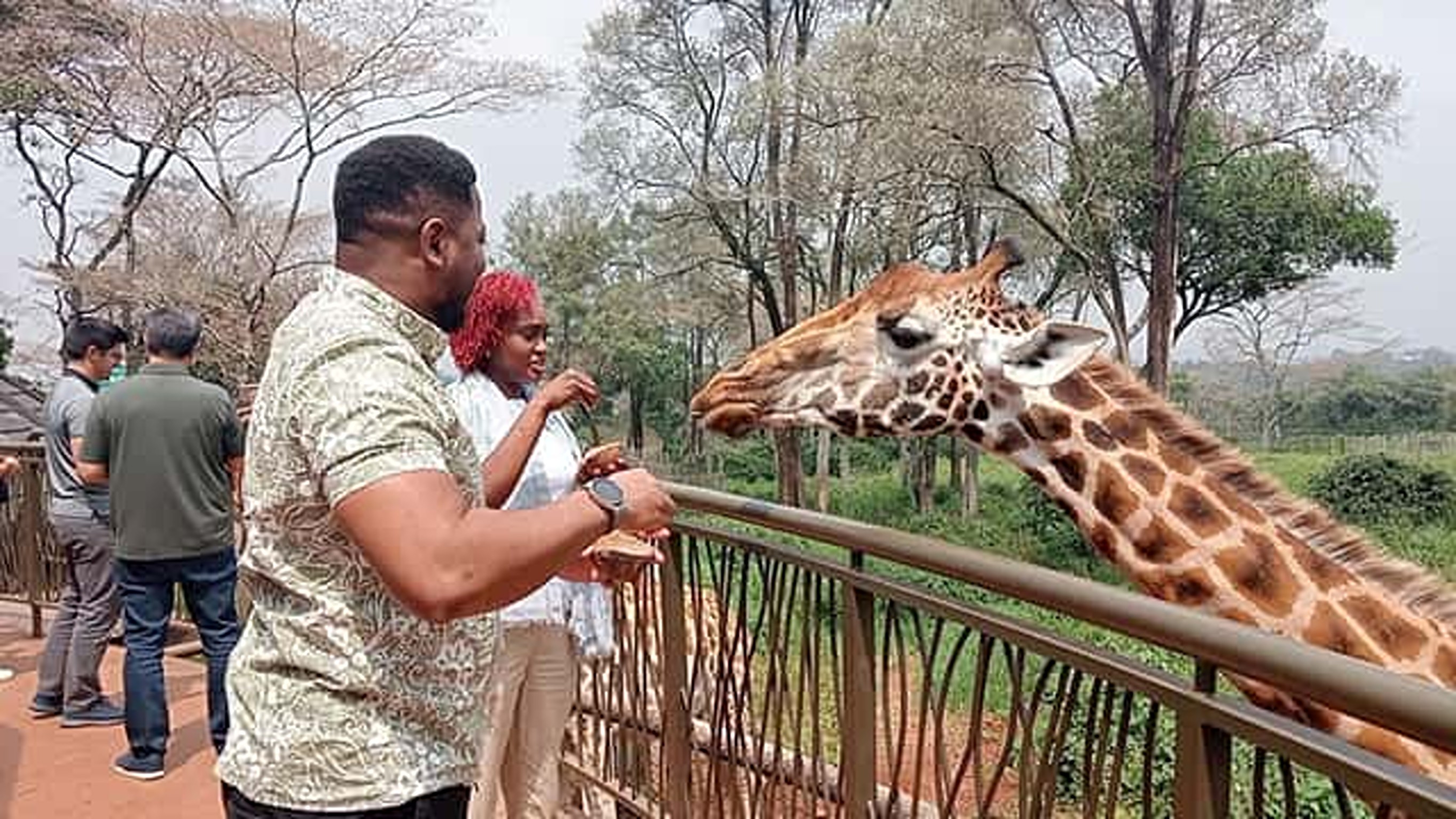 Nairobi Airport Layover to Giraffe Center Tour.