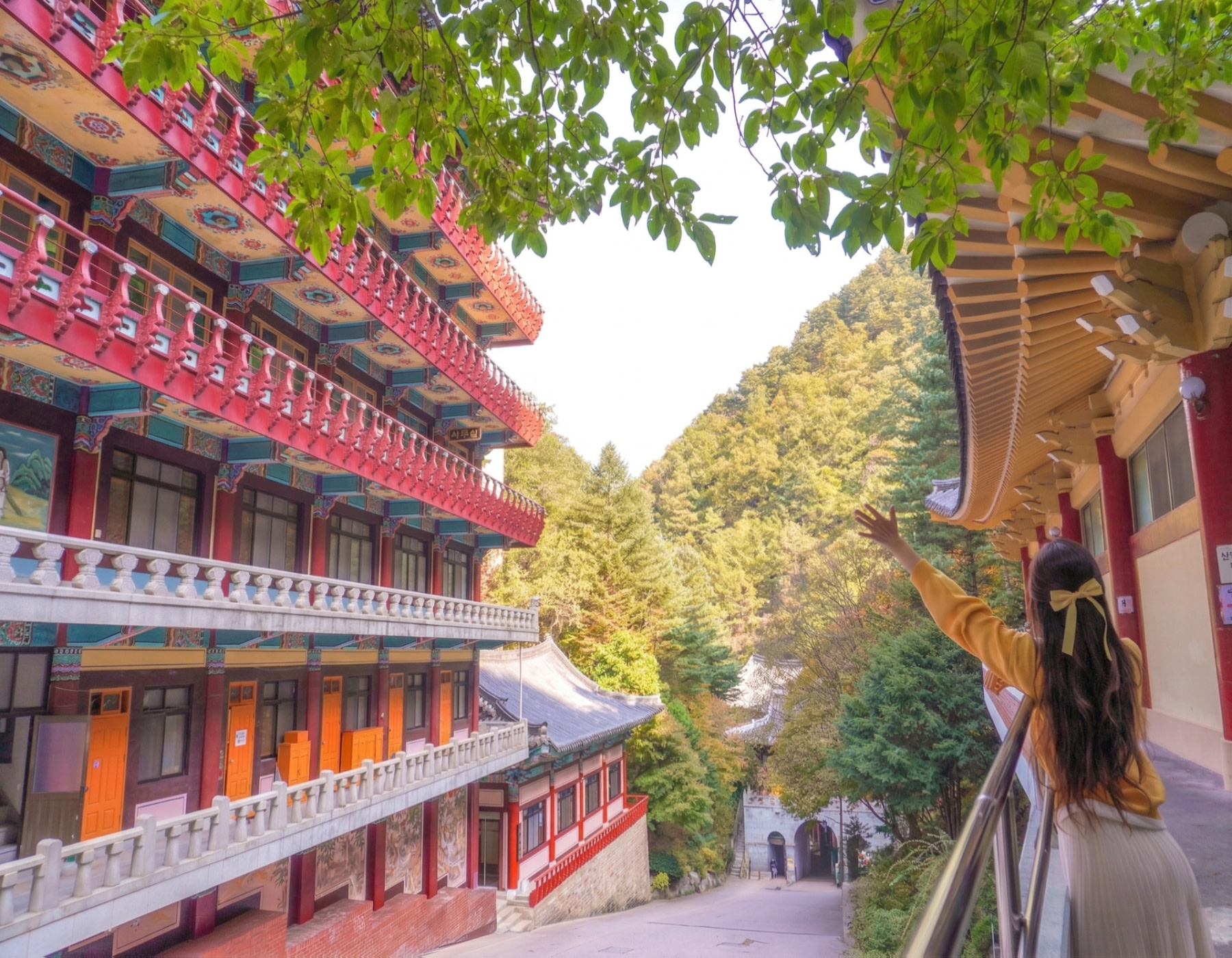 「全景視野與寧靜氛圍」
在韓國救仁寺山頂，將小白山脈的全景盡收眼底。捕捉這份寧靜與壯麗的特殊時刻。