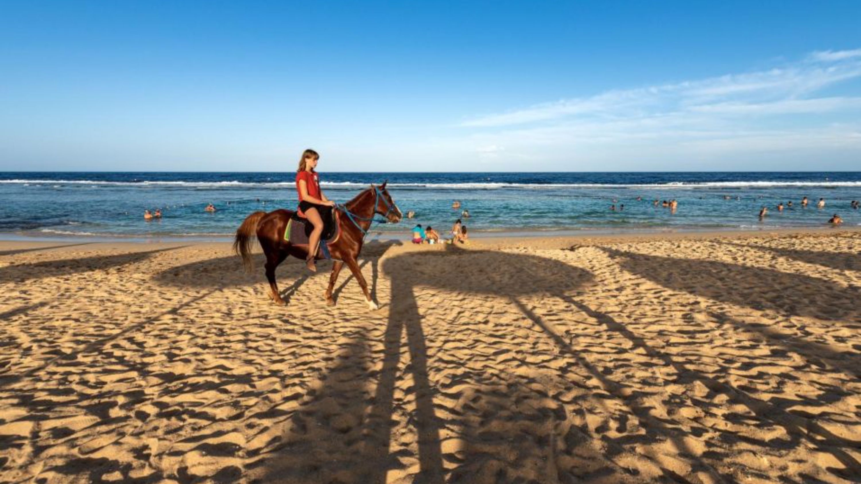 在紅加達選擇一小時或兩小時的騎馬探險之旅 在紅加達選擇一小時或兩小時的騎馬探險之旅