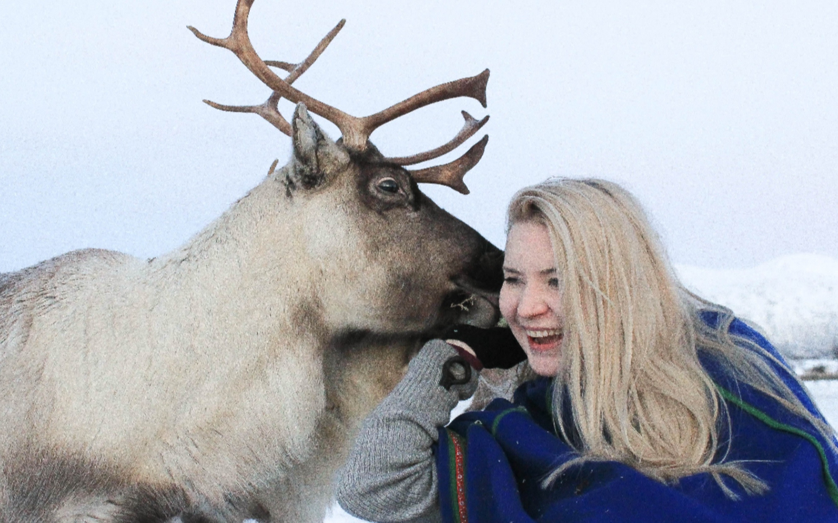 Reindeer Ranch and Sami Culture Experience from Tromso with Lunch