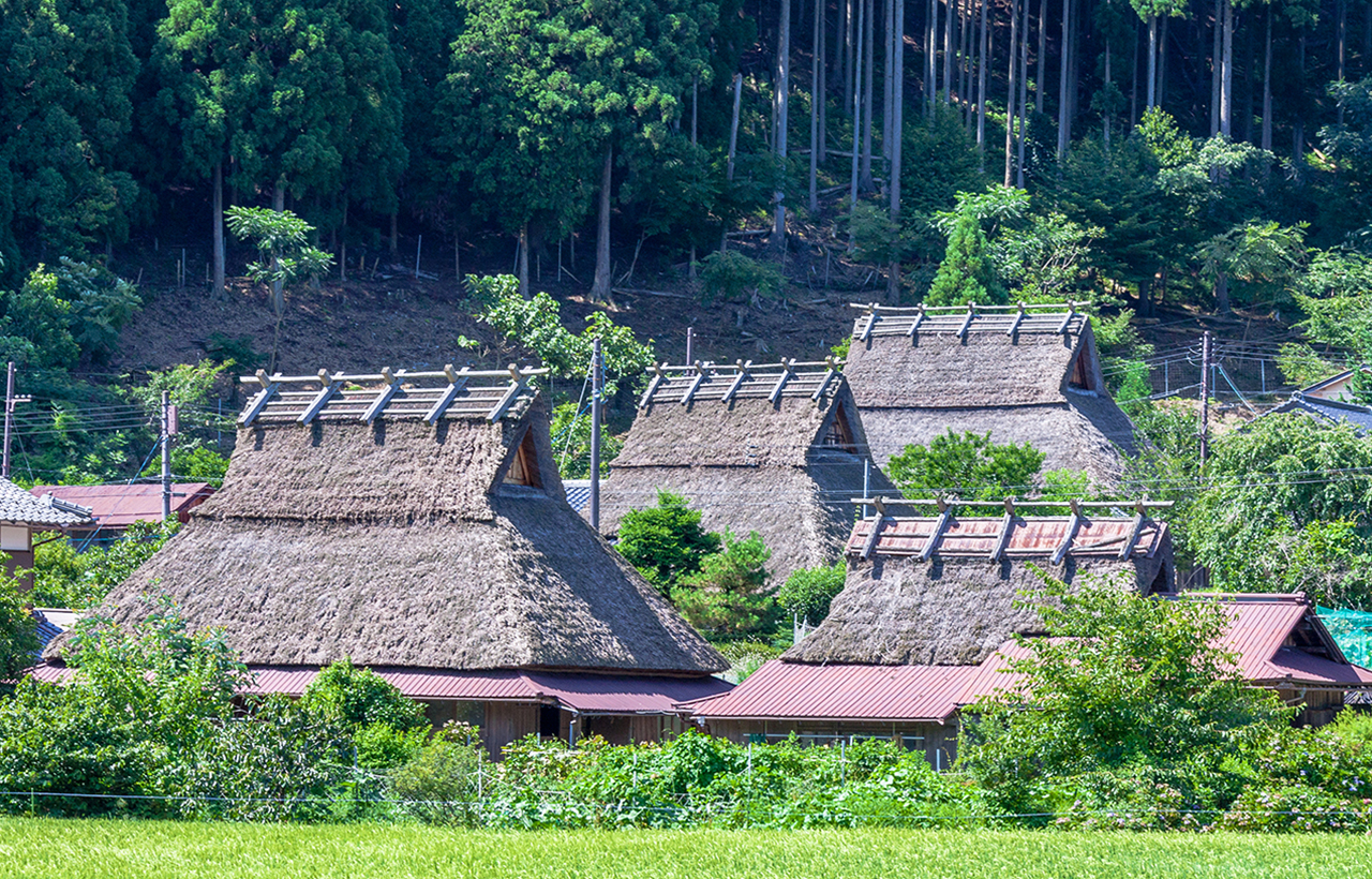 美山町位於京都北部，以保存完整的茅草屋“合掌村”而聞名，被稱為京都的童話鄉村。這裡遠離城市喧囂，四季景色清新迷人：春櫻、夏綠意、秋紅葉、冬雪景皆如明信片般美麗。漫步在傳統鄉間小路間，感受最純粹的日本鄉村風情。