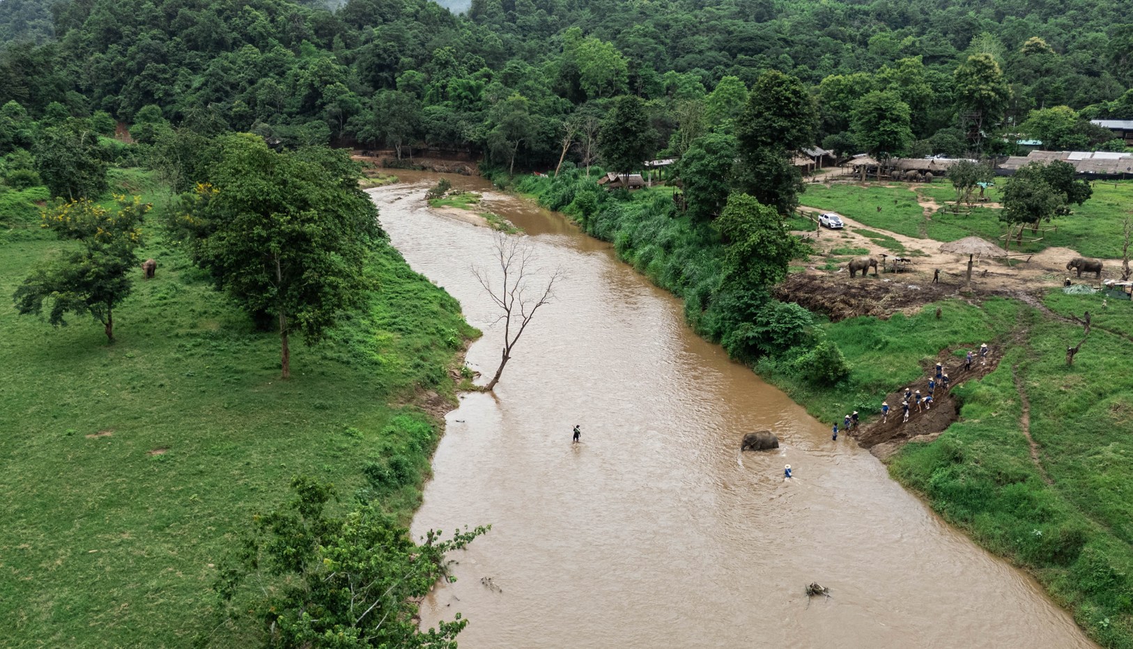 從象園的高角度景觀 從象園的高角度景觀