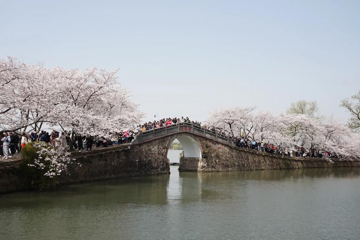 太湖黿頭渚風景區