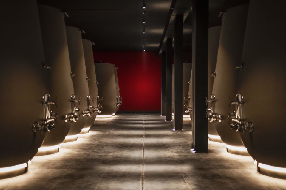 Engage with knowledgeable guides and learn about traditional winemaking processes