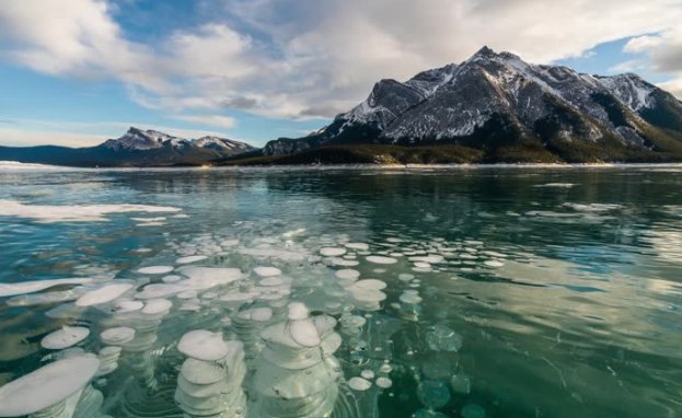 佩託湖和亞伯拉罕湖冰泡之旅 (Peyto Lake & Ice Bubbles at Abraham Lake Frozen Journey)