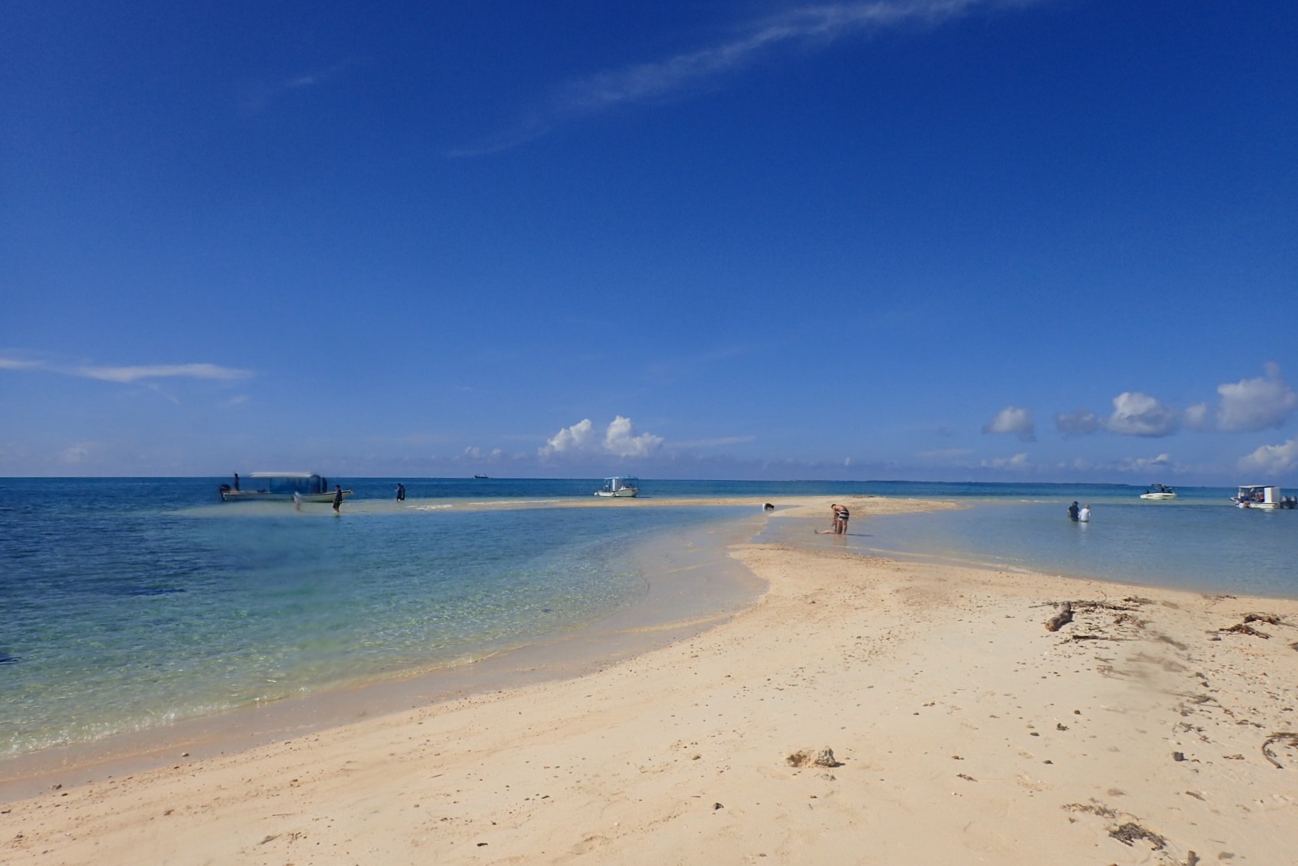 Phantom Island Landing & Snorkeling Half-Day Course