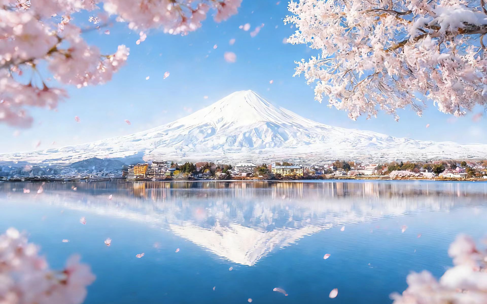 Mount Fuji instagrammable hot spots tour (from Tokyo)