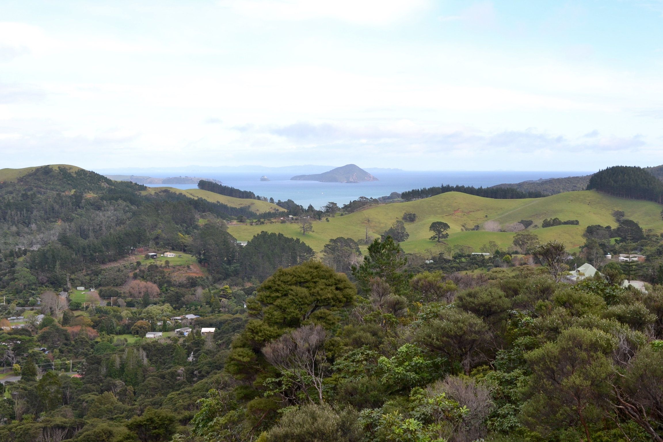 Summer Coromandel Day Tour From Auckland