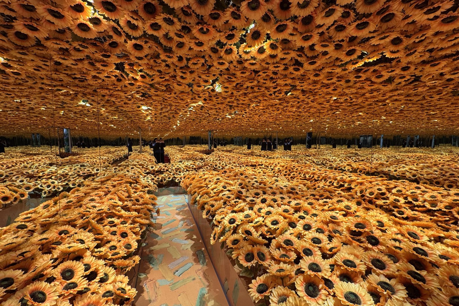 沉浸式光影盛宴，拍照出片天花板