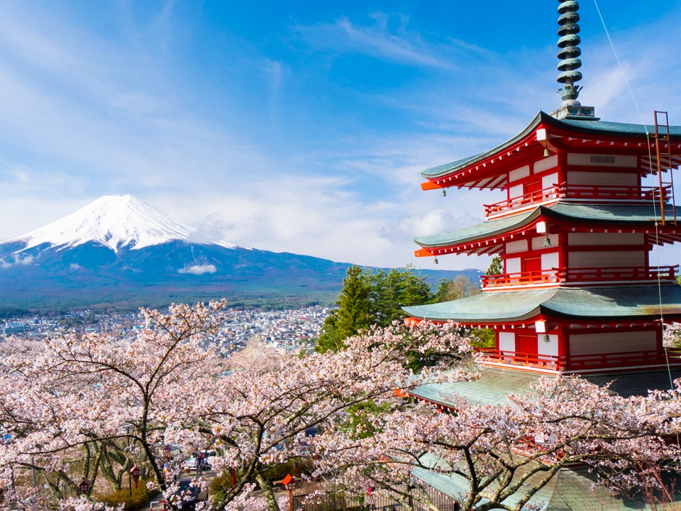 富士山全景一日遊 （東京出發）