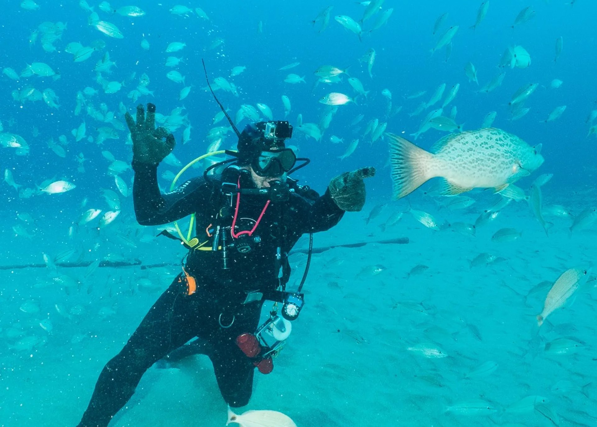 Jupiter Dive Ready Nitrox Course with PADI 5 Star Dive Center