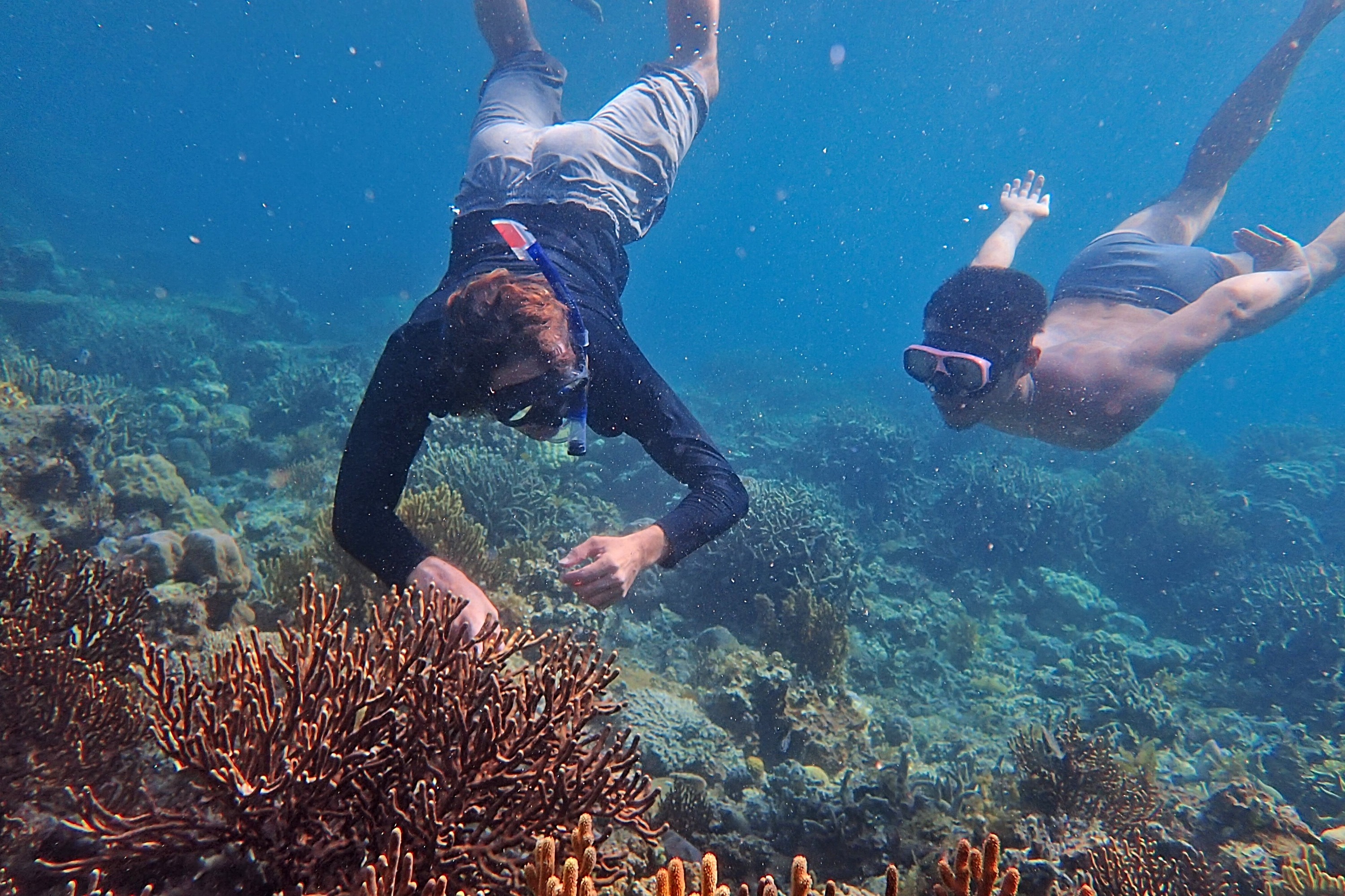 3D2N Marine Academy Expedition in Palawan