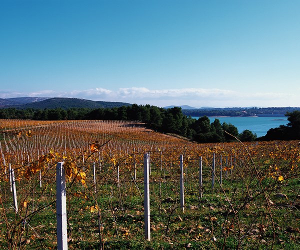 ATH03. Private Athens Marathon Lake & Lazaridis Domaine Winery Tour