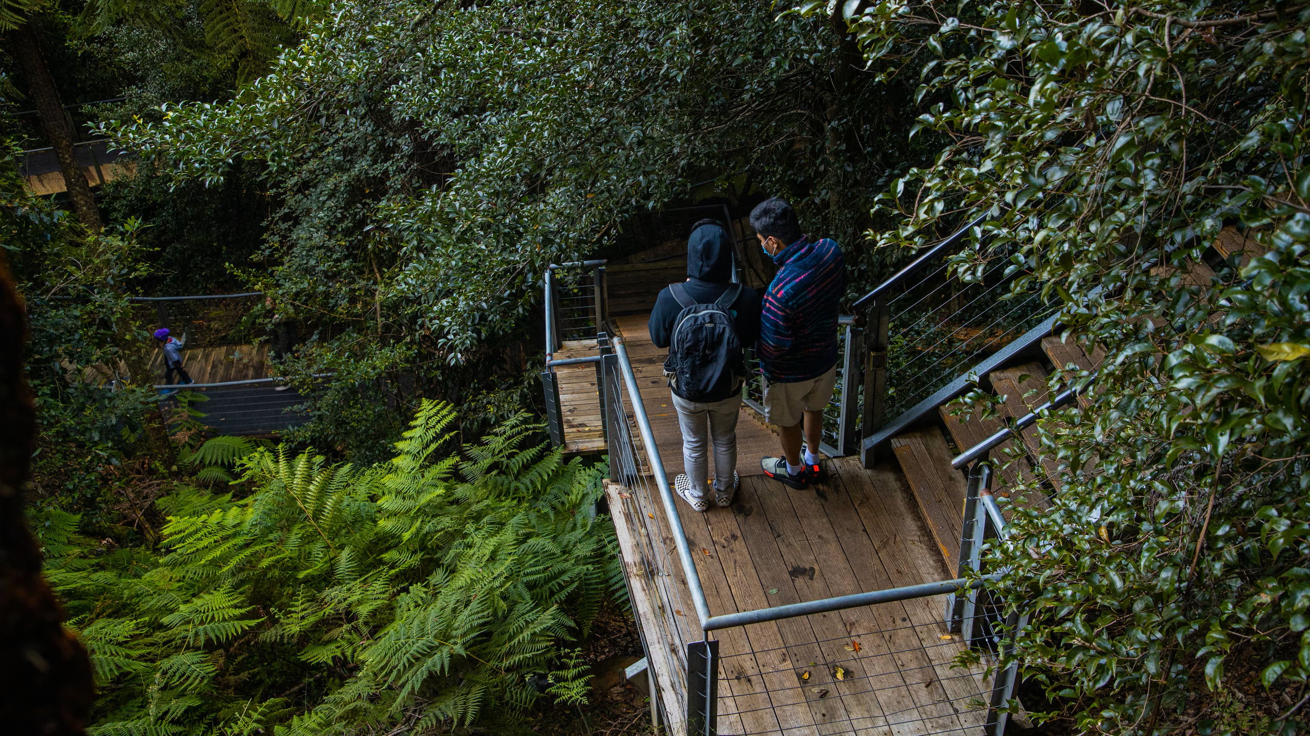 Australian Wildlife, Blue Mountains & Scenic World Private Tour