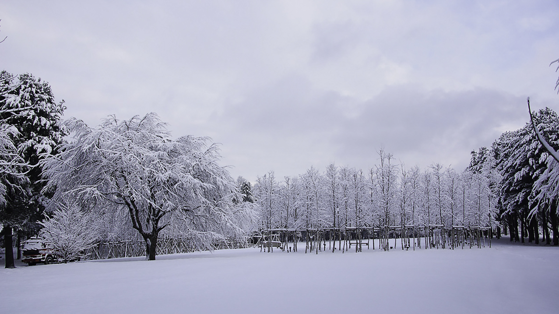 Eobi冰谷 / 羊駝 / 鐵路自行車 / 草莓採摘 / 雪橇一日遊