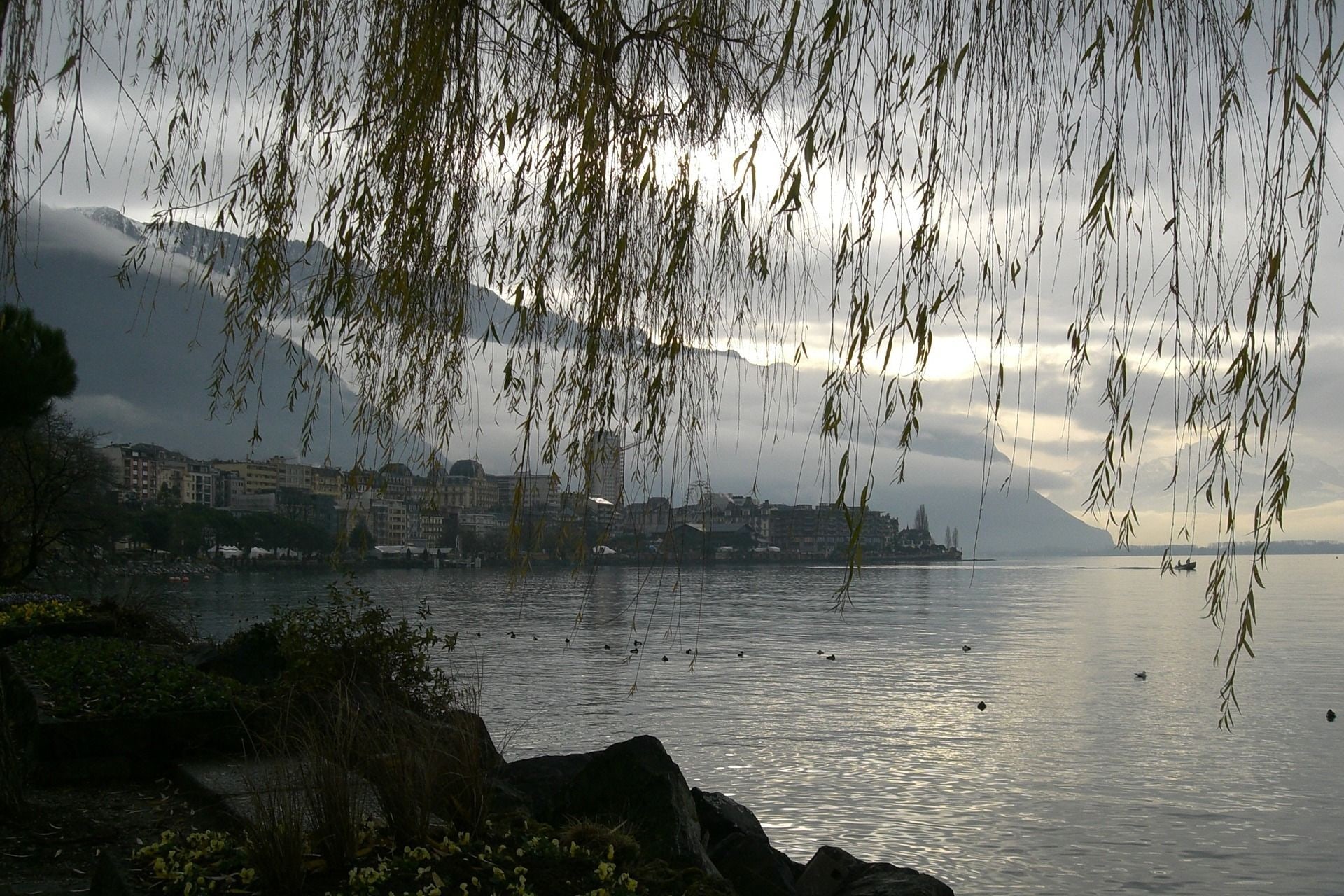 Montreux Private Walking Day Tour 