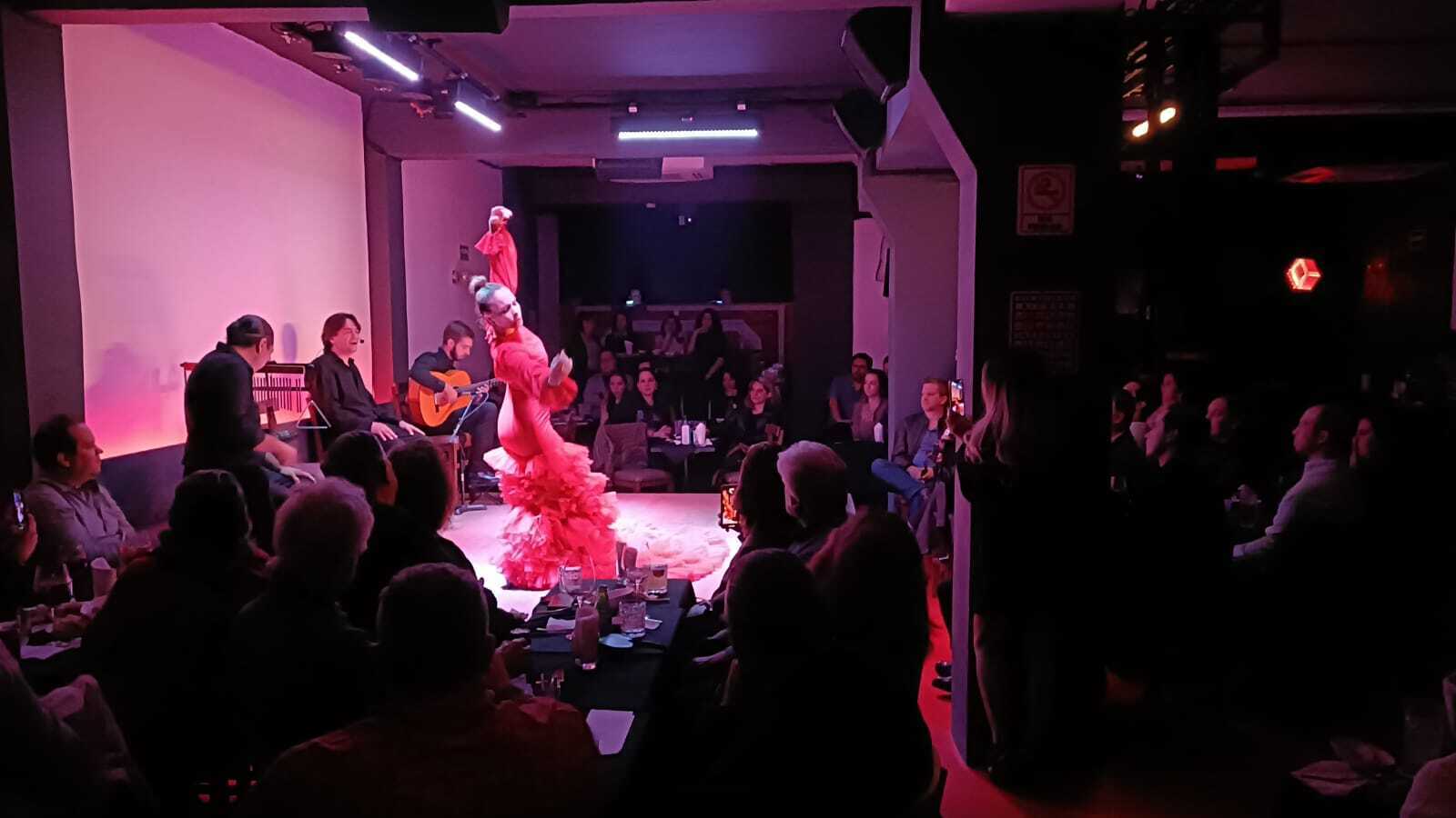 Flamenco Live Show and Dinner Experience in Mexico City