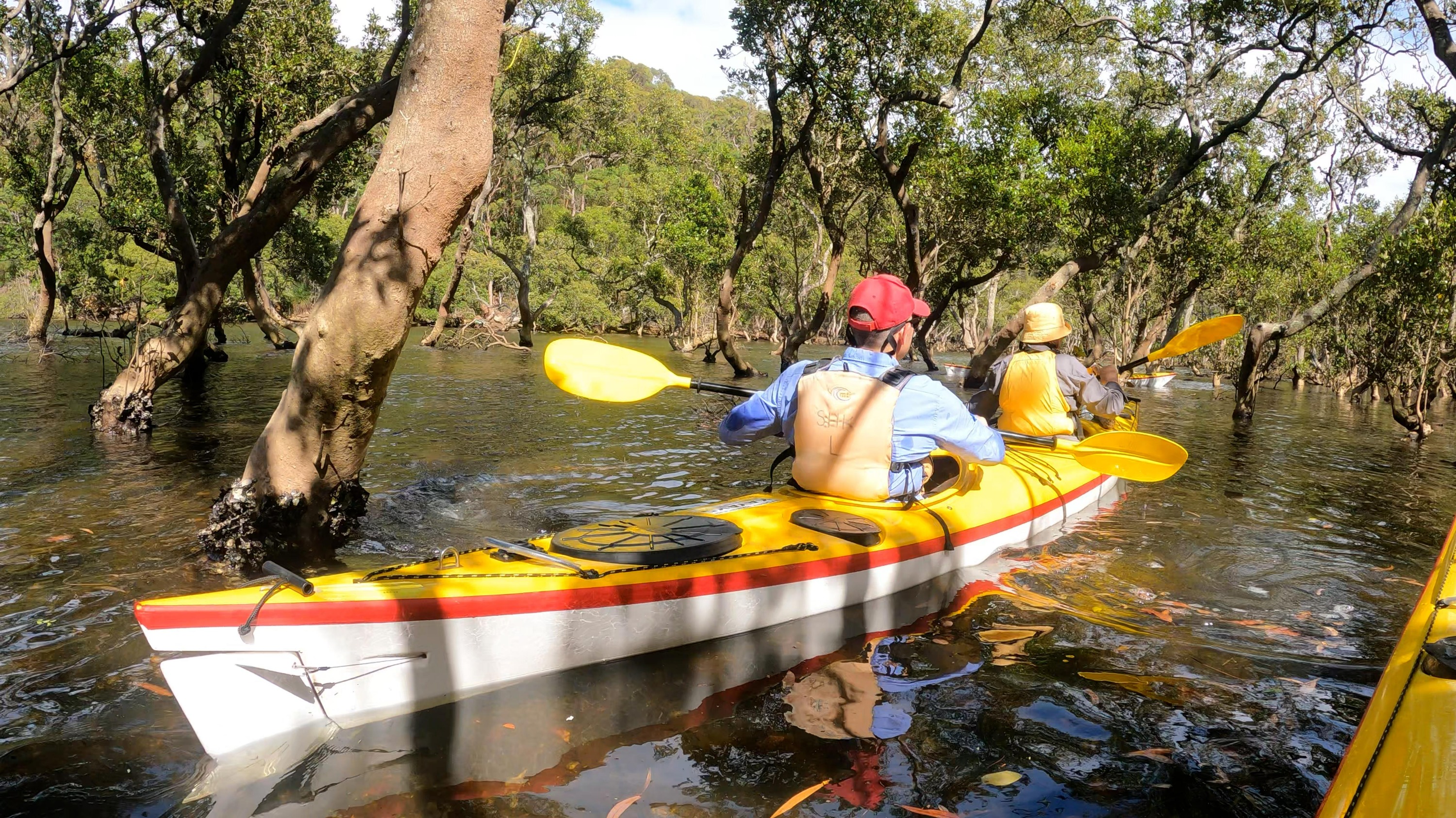 ミドルハーバー カヤックエコツアー（Sydney Harbour Kayaks提供）