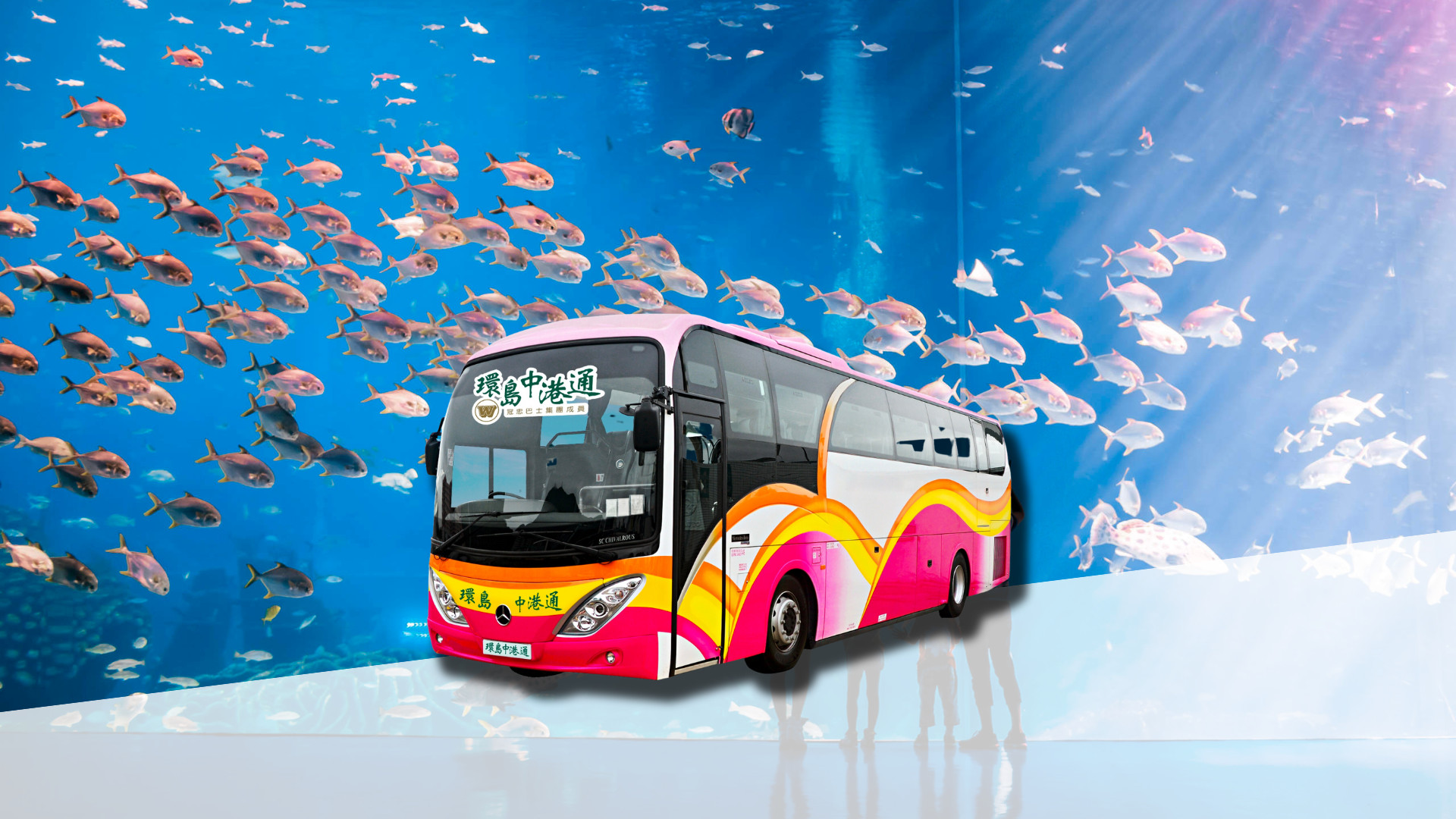 Hong Kong-Zhongshan Direct Bus Open Ticket (provided by China-Hong Kong Link around the island)