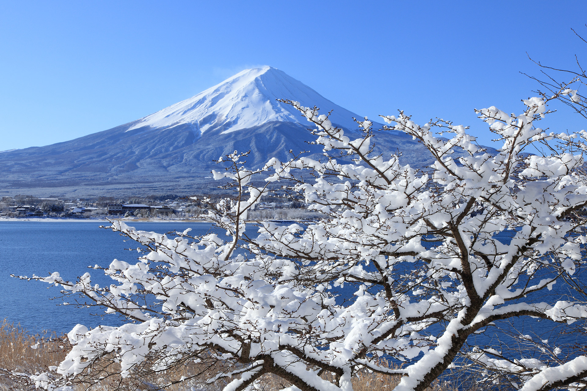 富士山與大石公園的冬日雪景~