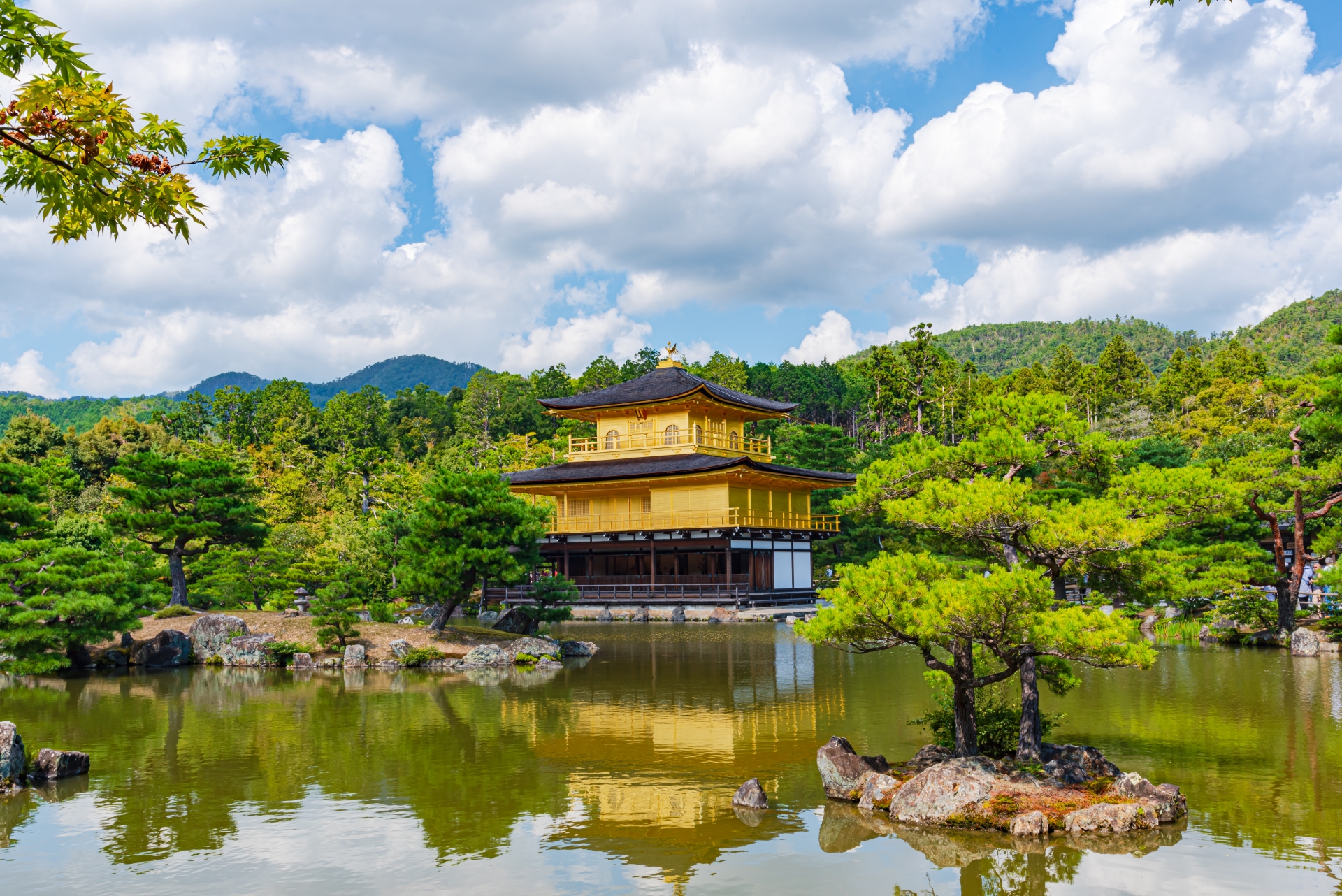 Kyoto and Nara Day Tour from Osaka/Kyoto