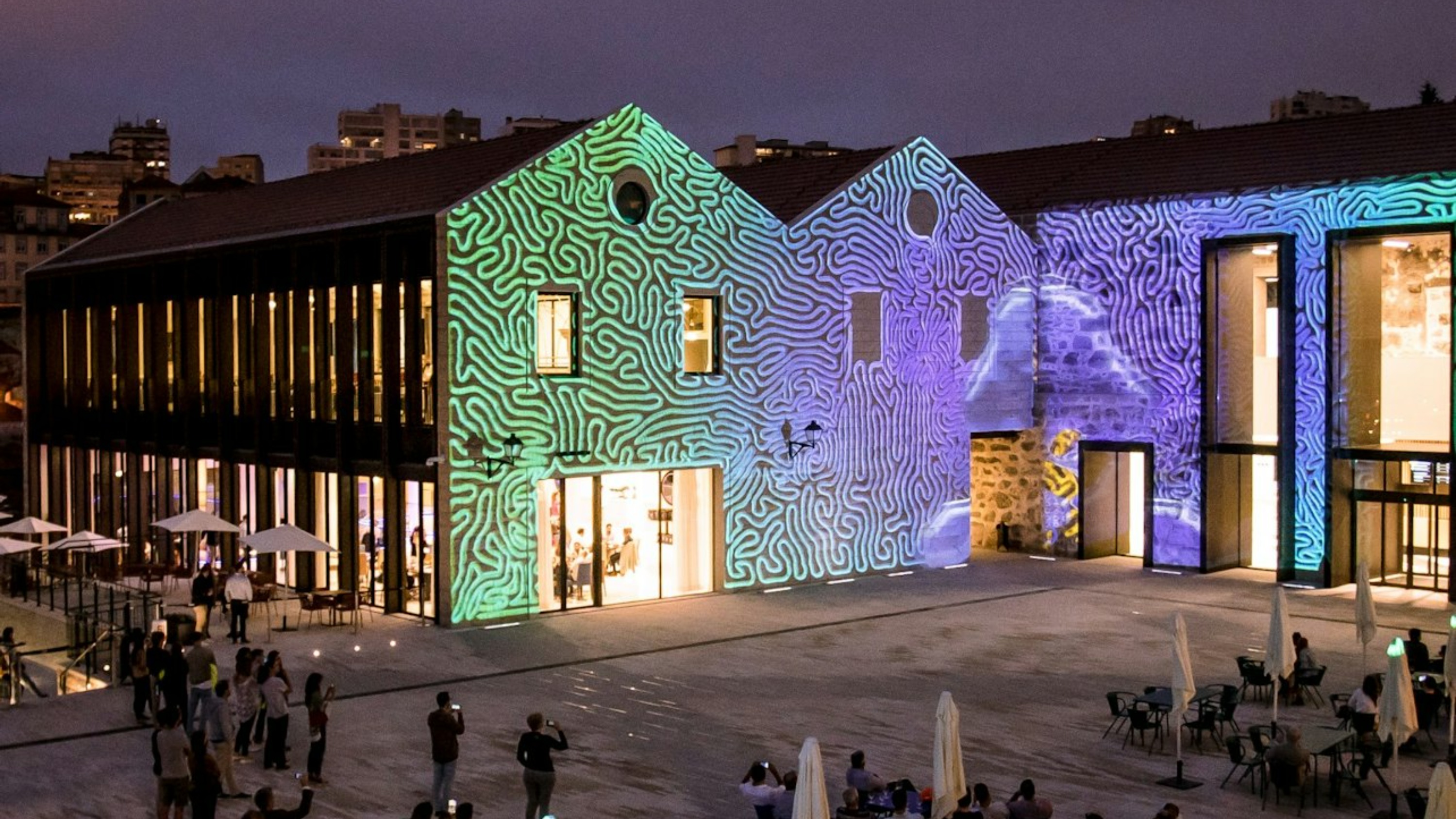 A journey through ideas that challenge, surprise, and spark meaningful conversations