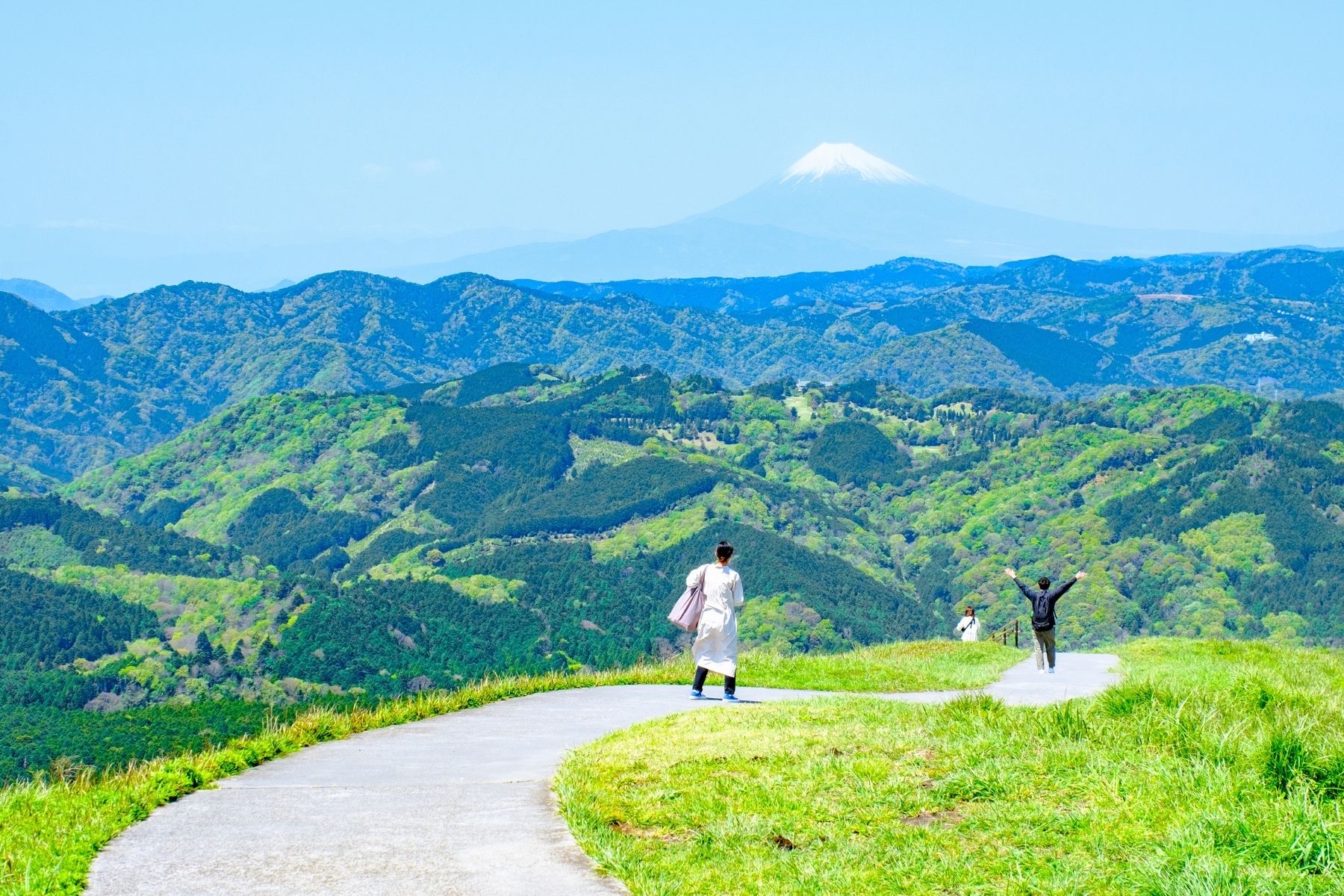 伊豆半島: 大室山 & 城崎海岸 & 伊豆全景公園 & 小室山 & 來宮神社 & 富士山絕景攝影地2日遊 (入住伊豆溫泉飯店)