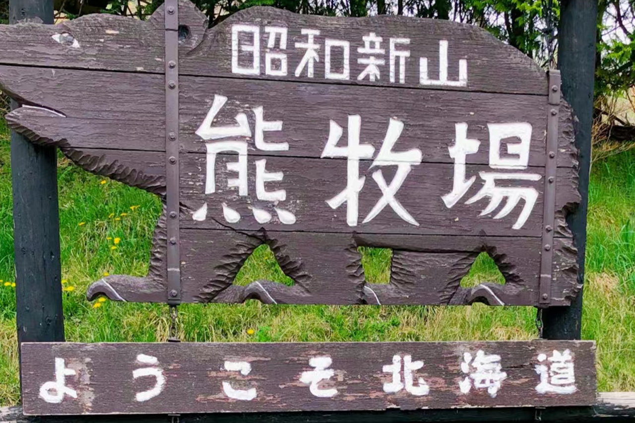 北海道夜宴 - 洞爺湖花火大會&熊牧場&支笏湖&洞爺湖展望臺一日遊 (札幌出發)