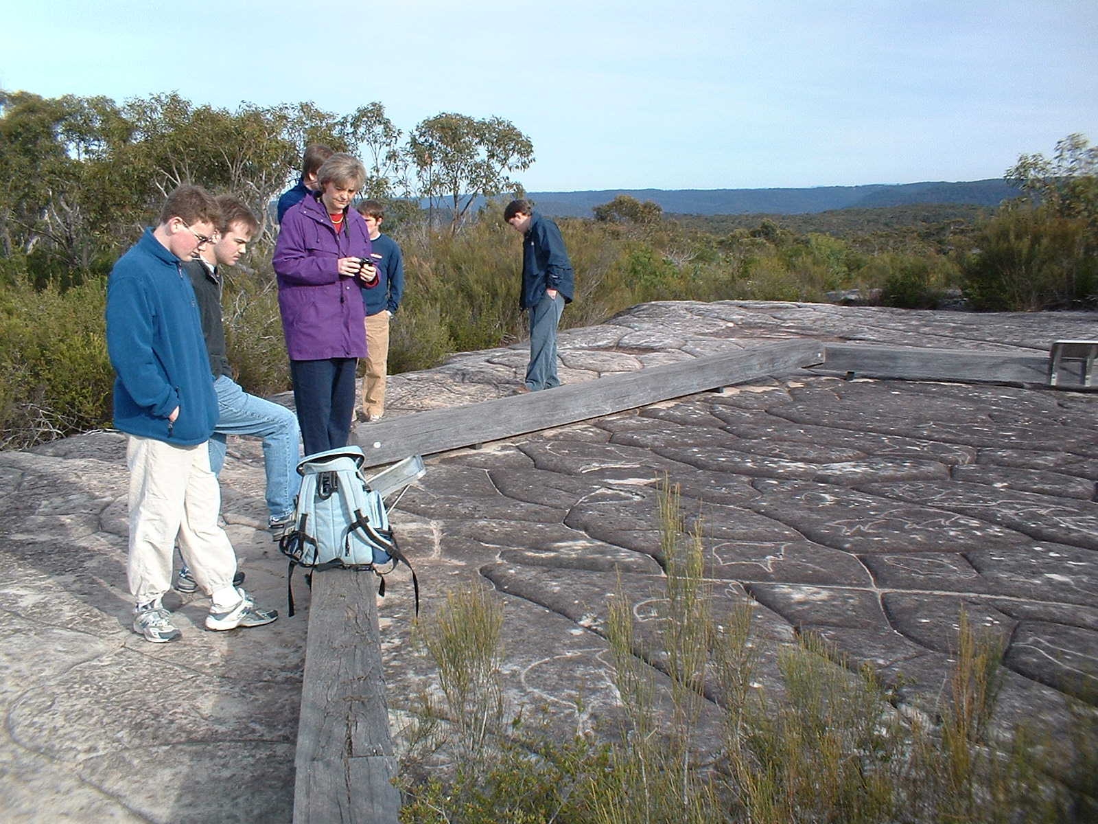 Sydney Northern Wilderness and Coastal Tour