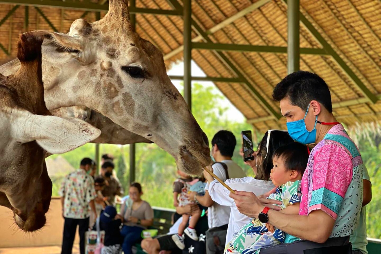 曼谷賽佛瑞野生動物園＆昭披耶公主號晚餐遊船私人一日遊（AK 提供）