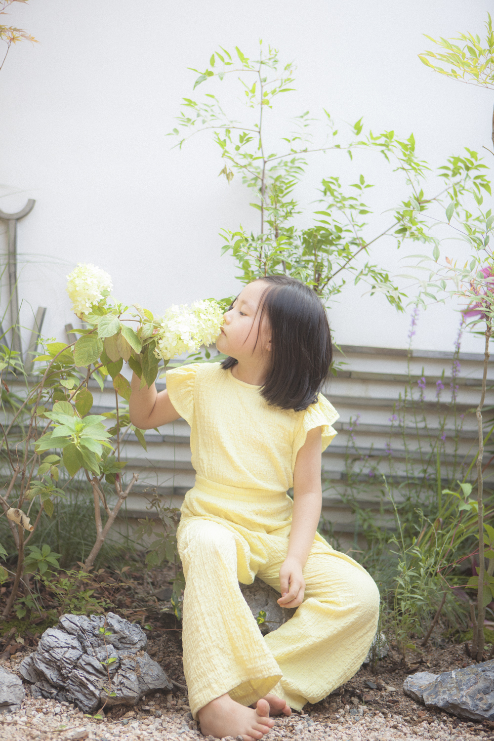 百年韓屋傳統茶道寫真體驗