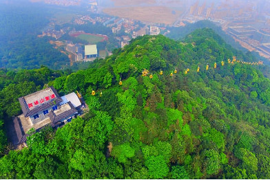 Guangzhou Xiqiao Private Customized Day Trip: Choose any two of the four major attractions