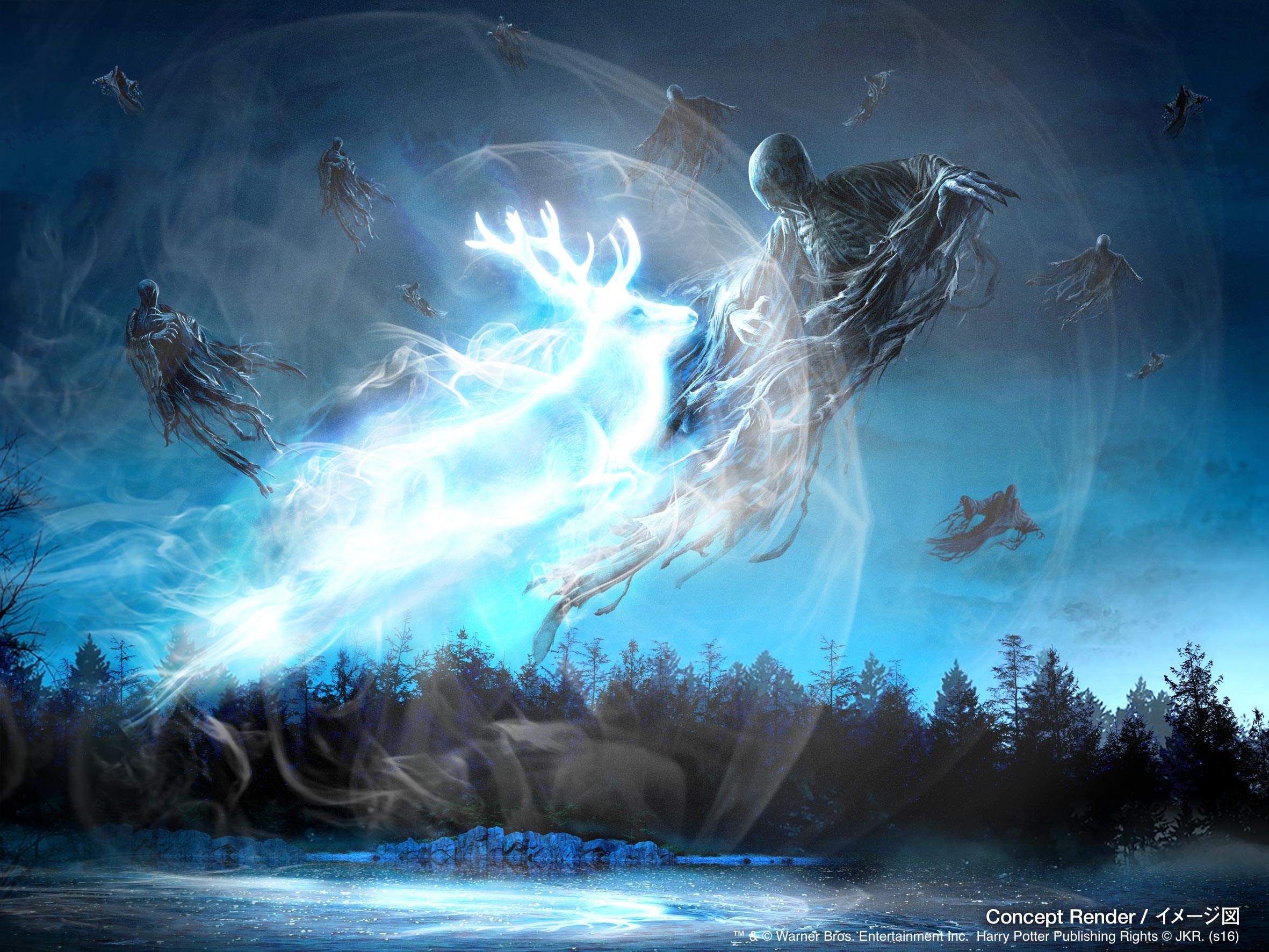 Harry Potter Night Show