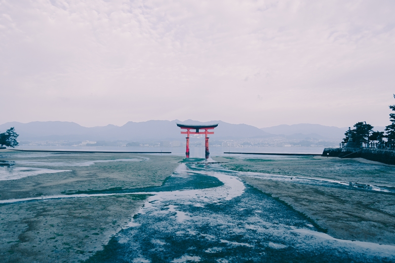 宮島潮汐 第一次玩宮島 查好潮汐時間 教你看見嚴島神社 大鳥居的千百種風貌 Klook部落格