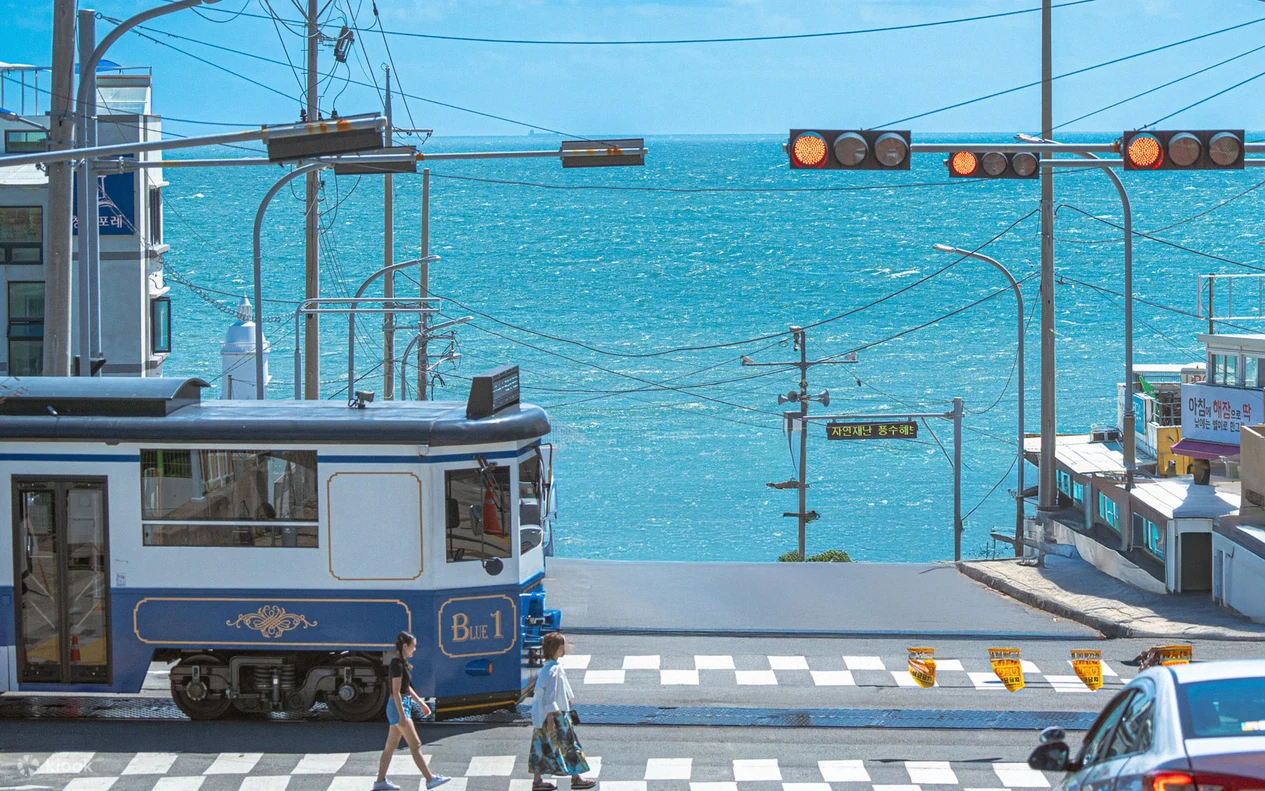Busan one-day tour with beach train, sky capsule, and coastal sightseeing (1)