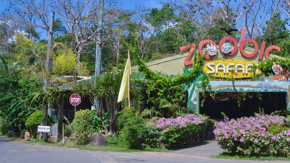 zoobic safari pampanga