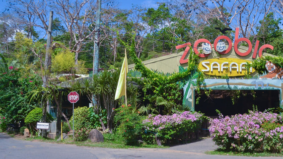 is zoobic safari open