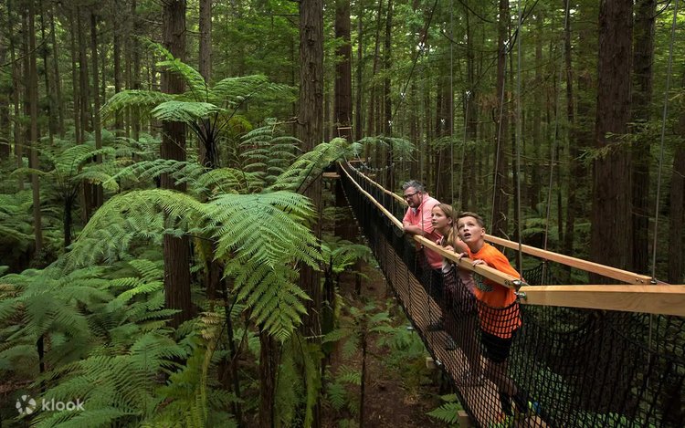 Rotorua Wai-O-Tapu & Redwoods Tree Walk Small Group Tour from