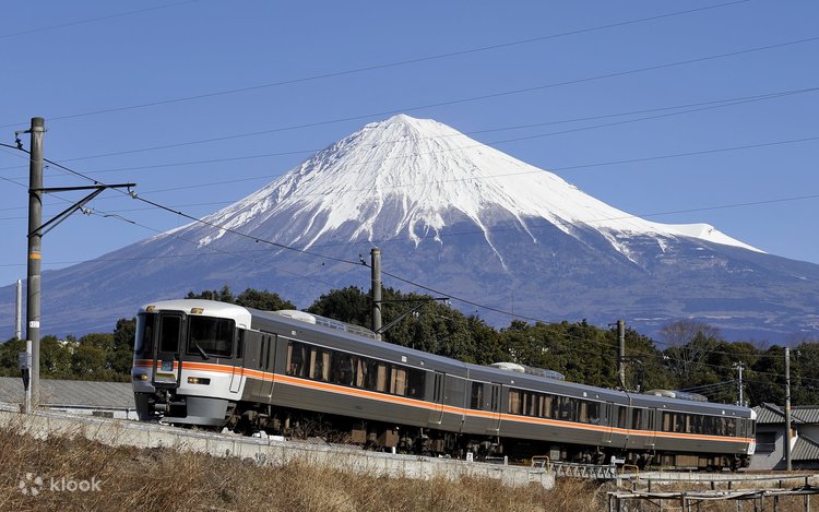 富士急 Mt. Fuji & Shizuoka Wasabi Farm Tour with Hokusai Train