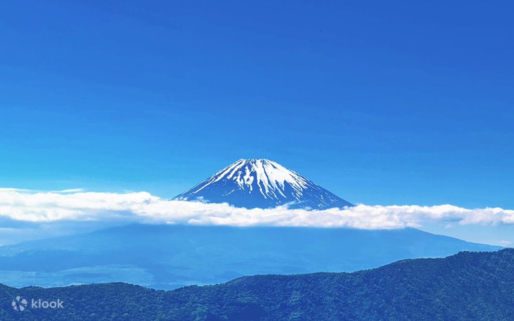 富士山スワンボート・温泉ツアー】富士山五合目・忍野八海