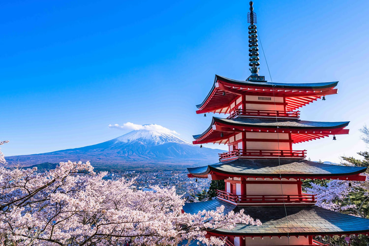 Chuyáº¿n Ä'i Ngáº¯m Hoa Anh Ä'ao Ä'áº¿n Nui Phu SÄ© Ä'á»n Shin Arakura Tá»« Tokyo Nháº­t Báº£n