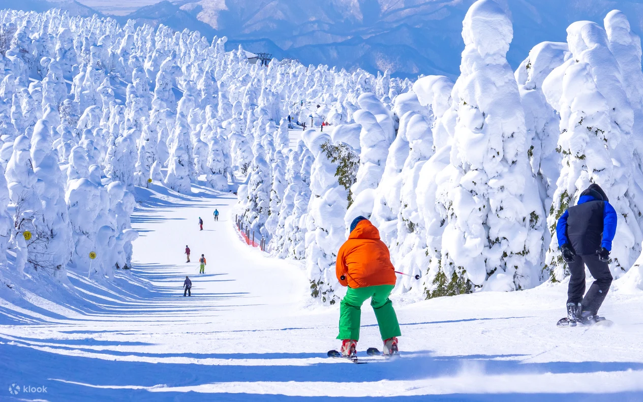 Private English and Chinese ski lessons and photography services at Zao Onsen Ski Resort