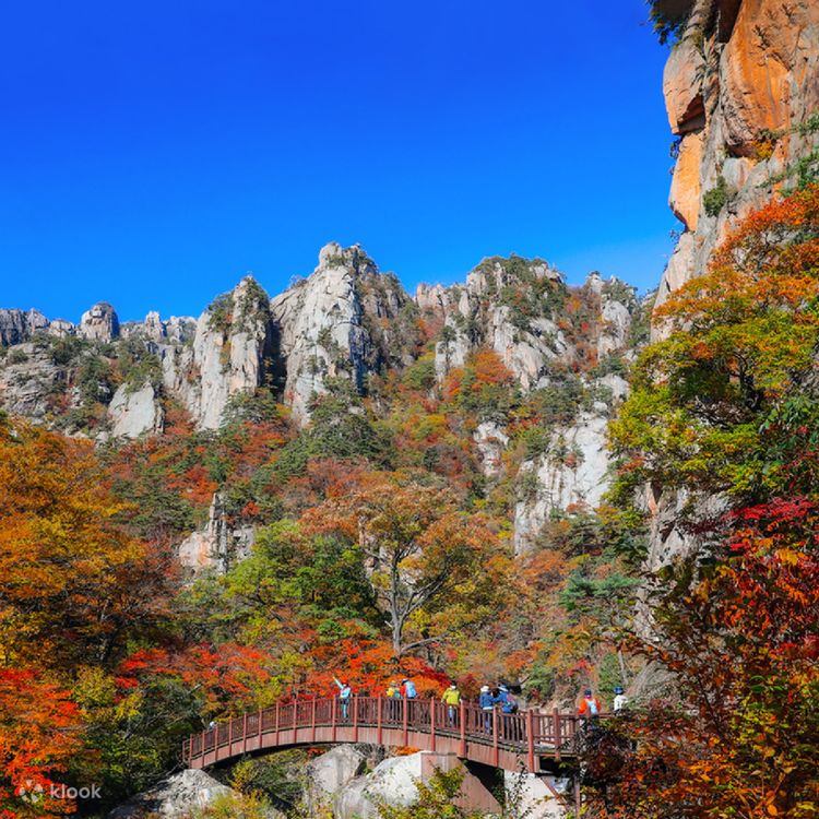 Seoraksan National Park Autumn Day Tour from Seoul Klook Vereinigte Staaten