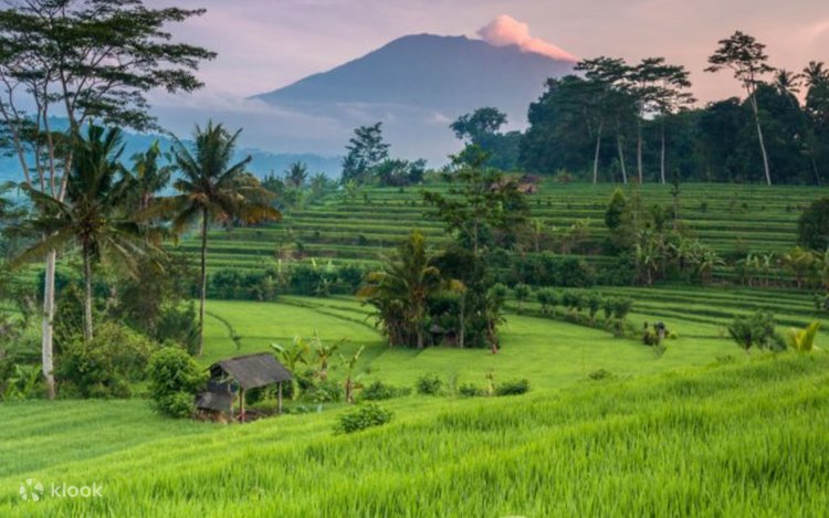 インドネシア バリ島 世界遺産を巡るプライベート日帰りツアー | Klook