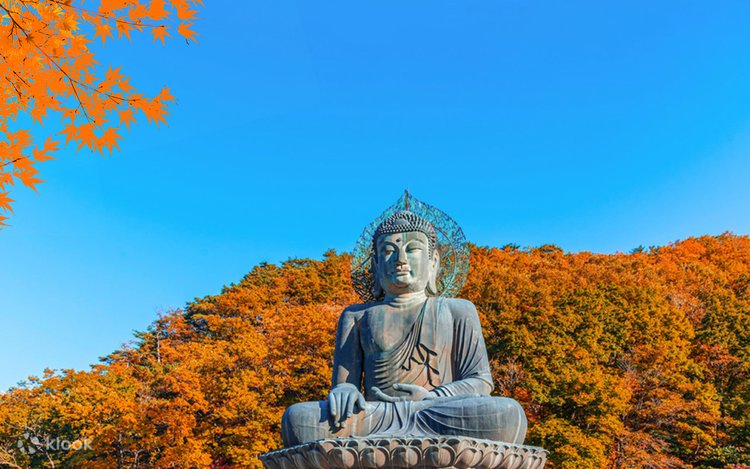 Seoraksan National Park Autumn Day Tour from Seoul - Klook United
