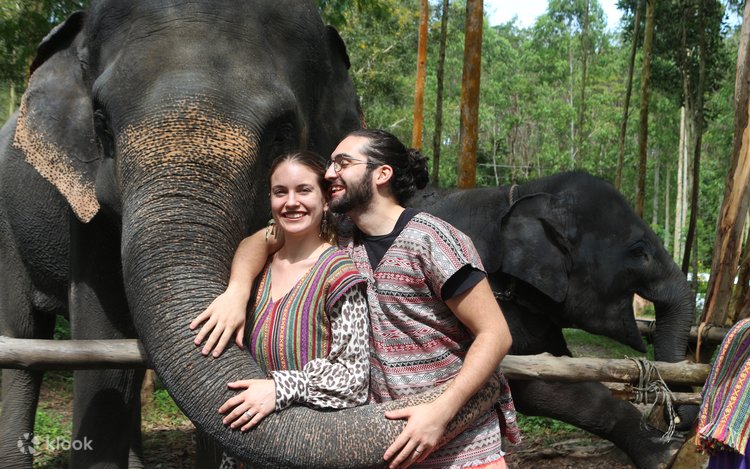 タイ・プーケット】エレファントケアパーク体験 | Klook