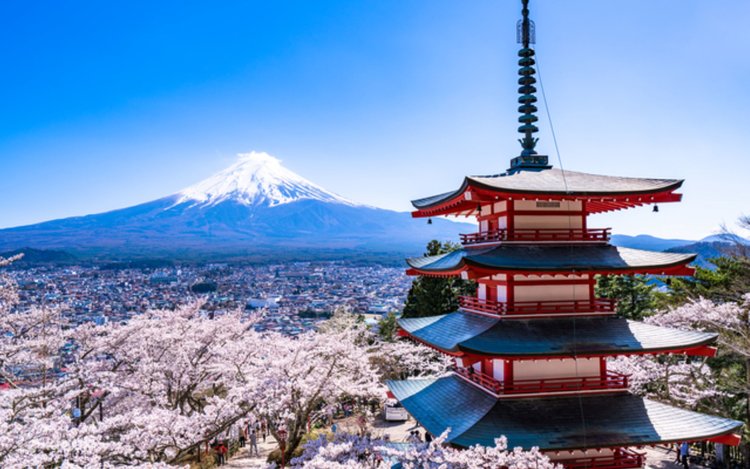 富士山 富士山五合目& 五层宝塔& 本町商店街& 大石公园一日游（东京出发