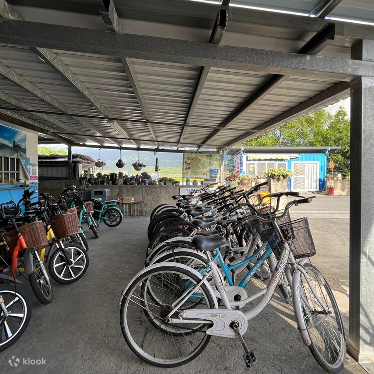 Taitung Chishang Brown Avenue Bike Experience Bicycle Electric Bike Experience Coupon Klook Singapore