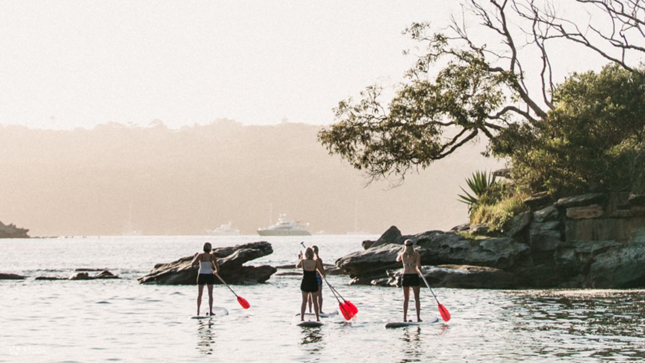 Manly Stand Up Paddle Board Lesson (SUP) by Manly Kayak Centre in